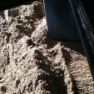 sand pits 10/15/11