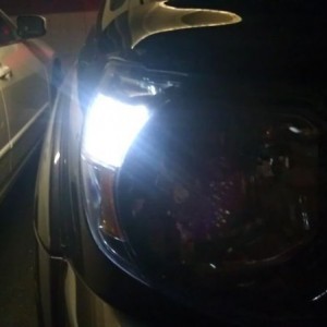 livezvWgOX
