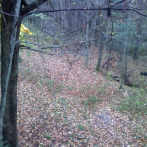Trying again! 22' up and raining!