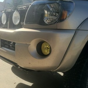 Yellow sleeved fogs. Yellow Hellas?