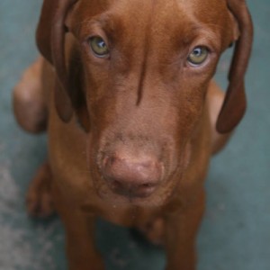 Digging in the yard face!!