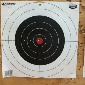 10 rounds, 25 yards, 10/22