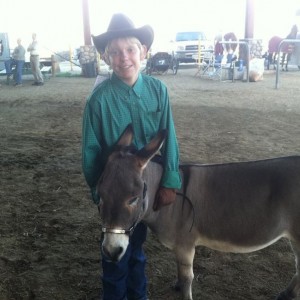 My son showing my in-laws miniature donkeys