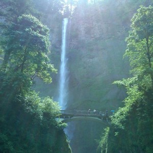 IMG00059-20110621-1205