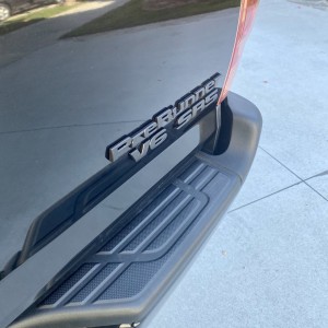 Blacked_out_emblems