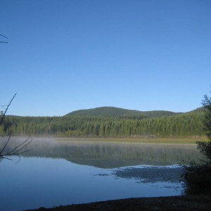 view_of_weeks_2
