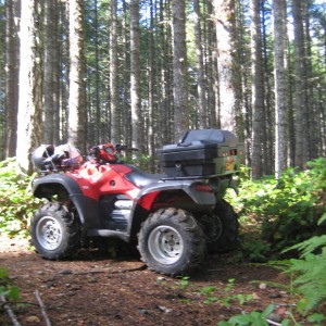 quad_at_cache_42