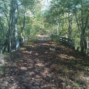 Spooky looking bridge on WMA land