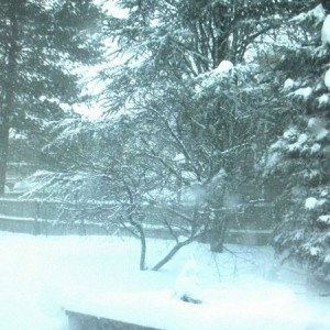 Glad Winter finally showed up, I was worried it was going to be late this y