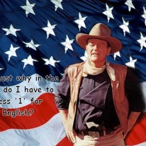 johnwayneflag