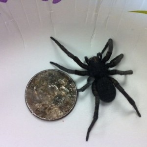Just found this flame thrower worthy bastard the office bathroom...