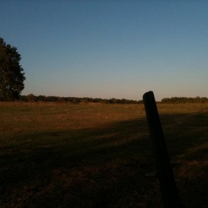 Dove huntin in Oklahoma