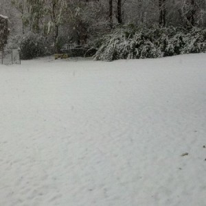 It looks like we have fallen victim to the white stuff as well.