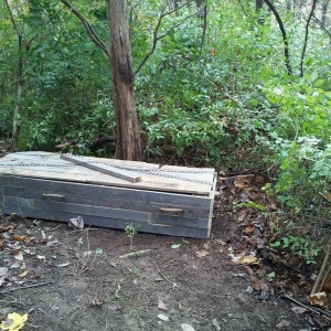 Haunted trail tonight. The coffin i built