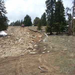 DSCN0716