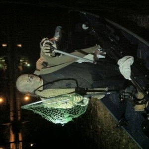 liveYDPmNd