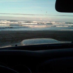 View with my morning coffee