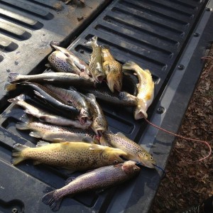 Not bad for 2 hours in the water