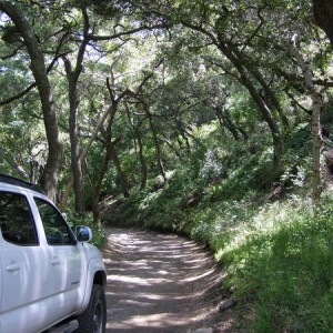 2007 Tacoma
