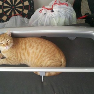 Being a big help as usual.