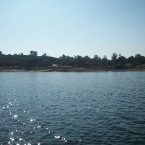 Lake Pardee with lenie