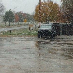 And so the snow begins...