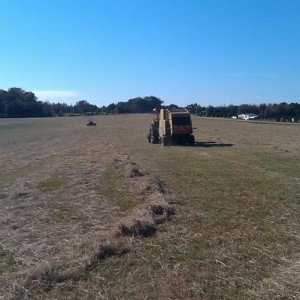 Bailing hay