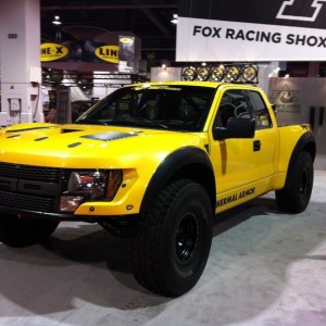 Super nice raptor