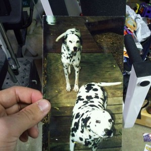 Found a pic of my old dogs.