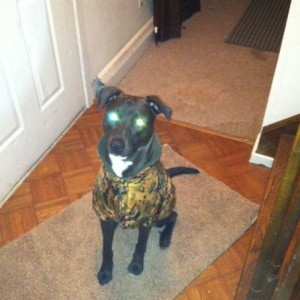 My boy ready to play in the snow