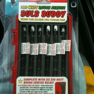 For the price of two bulbs I got 6 w/a carrying case @ lowes