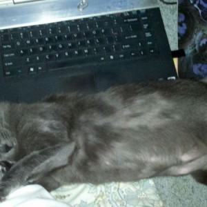 And snoring..this is her typical spot while I surf TW n play 360