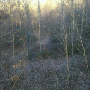 Therapy!