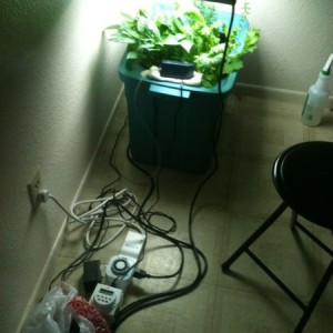 Gotta love my renters
