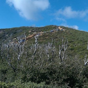 Cleghorn run