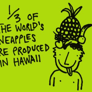 pineapples