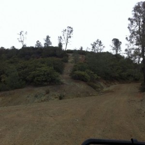 Yep, drove down that