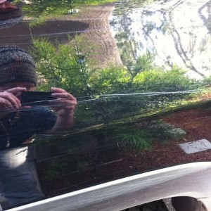 Wee pin striping