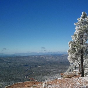 the rim