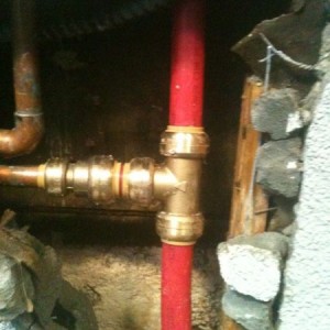 Pex.