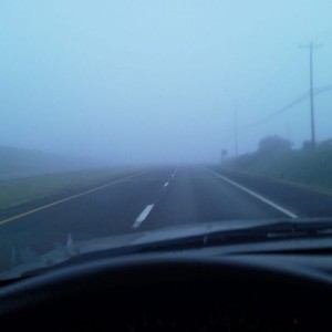 Pea soup