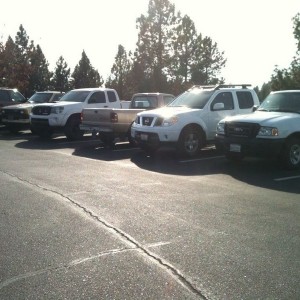 Poached 2 Ford Rangers and a Nissan. Genocide!