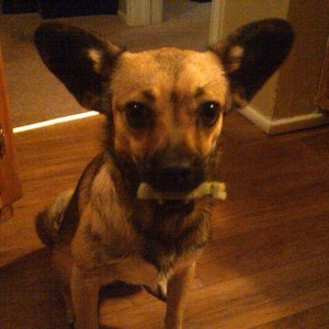 Where did you find a green bone? Lol