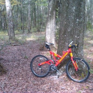 mountain bike