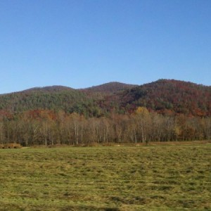 On the way to App State. Gotta love fall in the south.