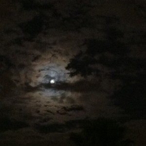Pretty cool night