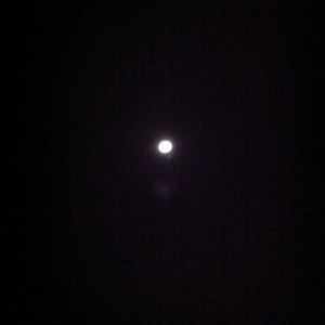 Nice clear night. 36* and light breeze! Love it.