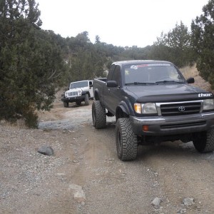 Rattlesnake run