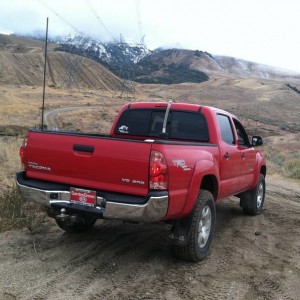 Gorman 11/12