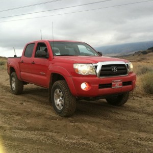 Gorman 11/12